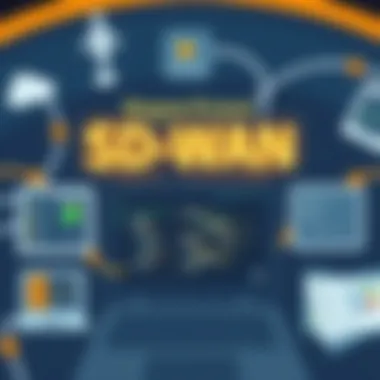 Magnificent SD-WAN Design Guide Magnificent SD-WAN Design Guide