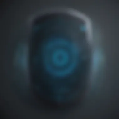 Biometric Security Verification Biometric security verification