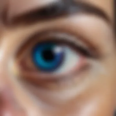 Iris Scanning: The Next Level of Biometric Authentication Iris Scanning Technology