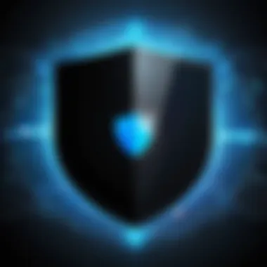 Data Protection Strategies Digital security shield representing data protection