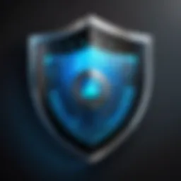 Cyber Security Shield Icon