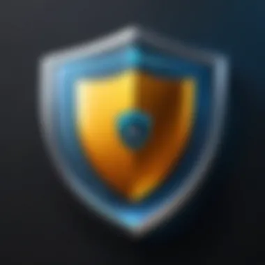 Cybersecurity Shield for Protection Cybersecurity protection shield