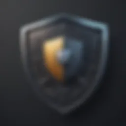 Cybersecurity Shield symbolizing protection from identity theft