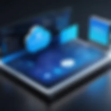 CloudBlue Platform Capabilities CloudBlue platform interface showcasing its features