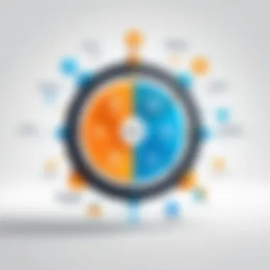 Diverse Implementation Strategies in IAM Illustration of IAM implementation strategies