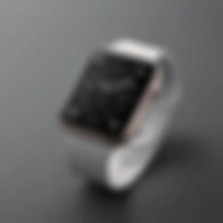 Elegant Minimalism Apple Watch