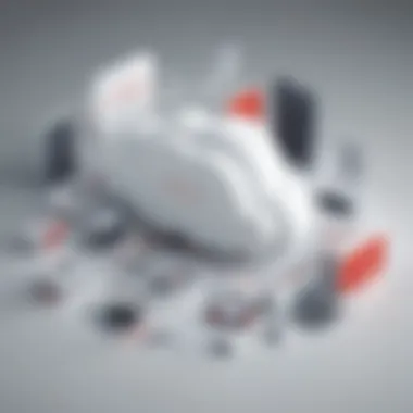 Oracle Cloud Connectivity Oracle Cloud Connectivity
