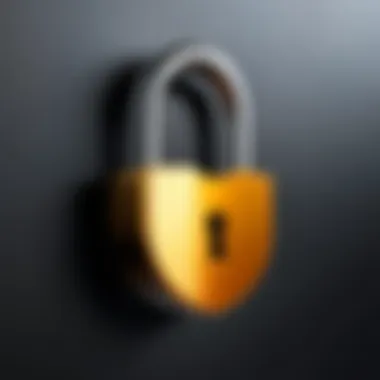 Lock Icon for Secure Online Banking Secure online banking lock icon