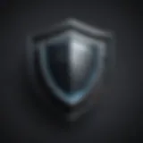 Secure Shield Icon