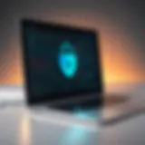 A visual representation of HTTPS security protocol