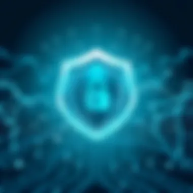 Strategies for Data Protection in a Digital Landscape Summary Strategies for Data Protection in a Digital Landscape Summary