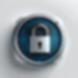 A digital lock symbolizing security in the online world