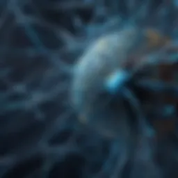 Illustration of a neural network architecture showcasing layers and nodes