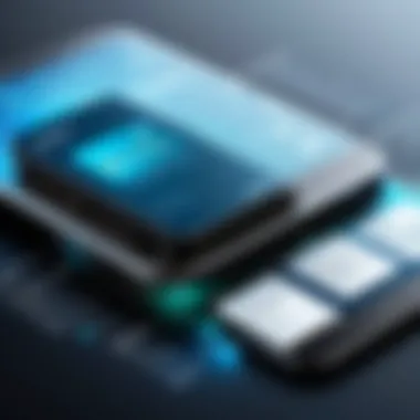 Potential Risks of Electronic Wallets Diagram highlighting potential risks associated with electronic wallets