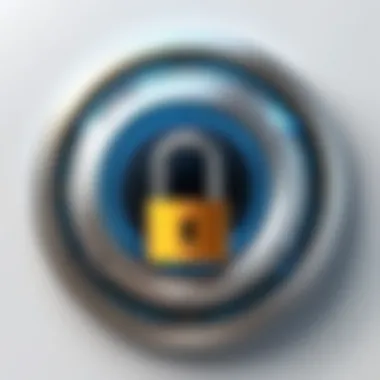 A secure digital lock symbolizing internet security