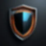 Illustration of a digital shield symbolizing protection against cyber threats