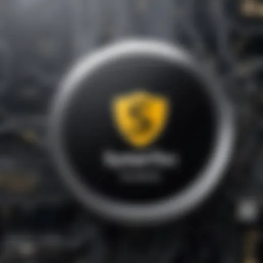 Overview of Symantec SSL technology