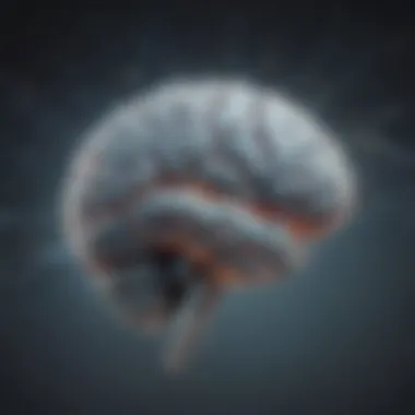 Enhanced Brain Connections Enhanced Brain Connections