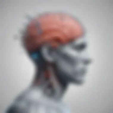 Cognitive Performance Boosting Techniques Cognitive Performance Boosting Techniques