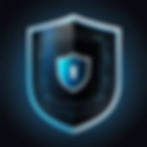 Secure Data Encryption Shield