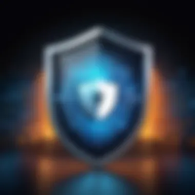 Data Privacy Shield Illustration Data Privacy Shield Illustration