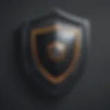 Shield of protection icon