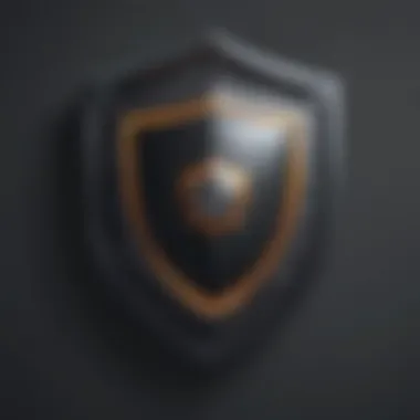 Shield of protection icon