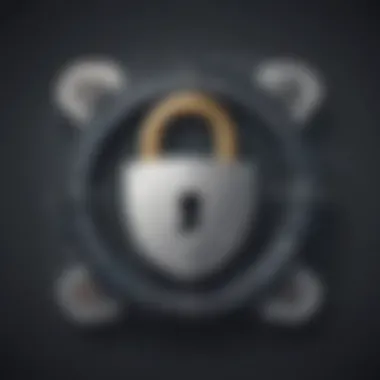 Securing Data: WGU Cyber Security Lock Digital lock representing secure data